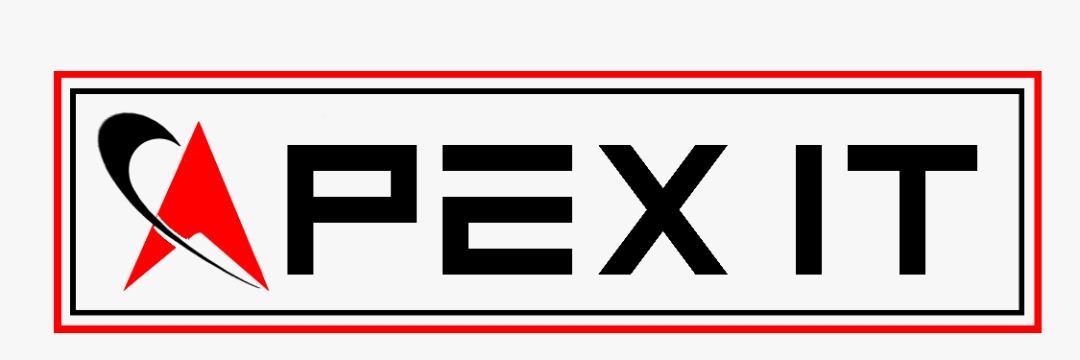 APEX IT SDN BHD